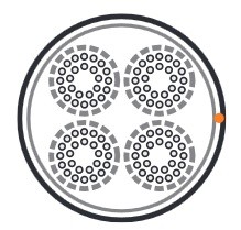 46505_1