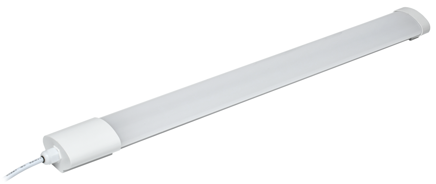 65e1b26d2f4ca121ff65555b
