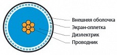 254850_1