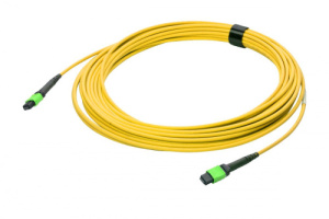 43M-S2-12-M1-M1-050-FFA-10_0