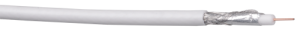 CC1-R6F1-111_0