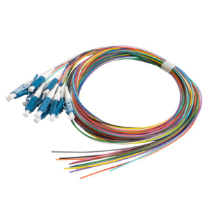 42B-S2-LC-12-01_0