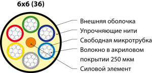 53487_1