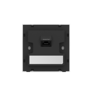 RG-RAP1261_2