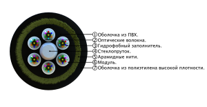 00-00031223_1