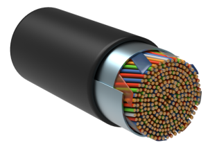 LC3-C5E50-339_0