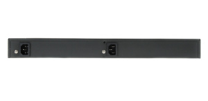 SW-24G4X-1L-I_2