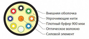 394556_1