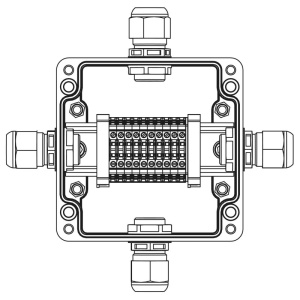 524404