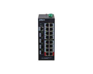 DH-HS4420-16GT-190_1
