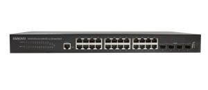 SW-24G4X-L2_1