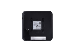 RG-AP820-L(V3)_3